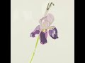 【朗読】エミリー・ディキンソン「草葉はそこに佇むだけで」