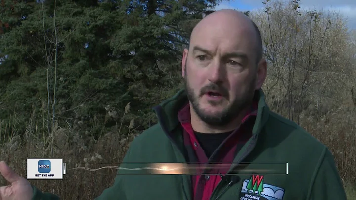 DNR asks hunters to take aim at feral pigs