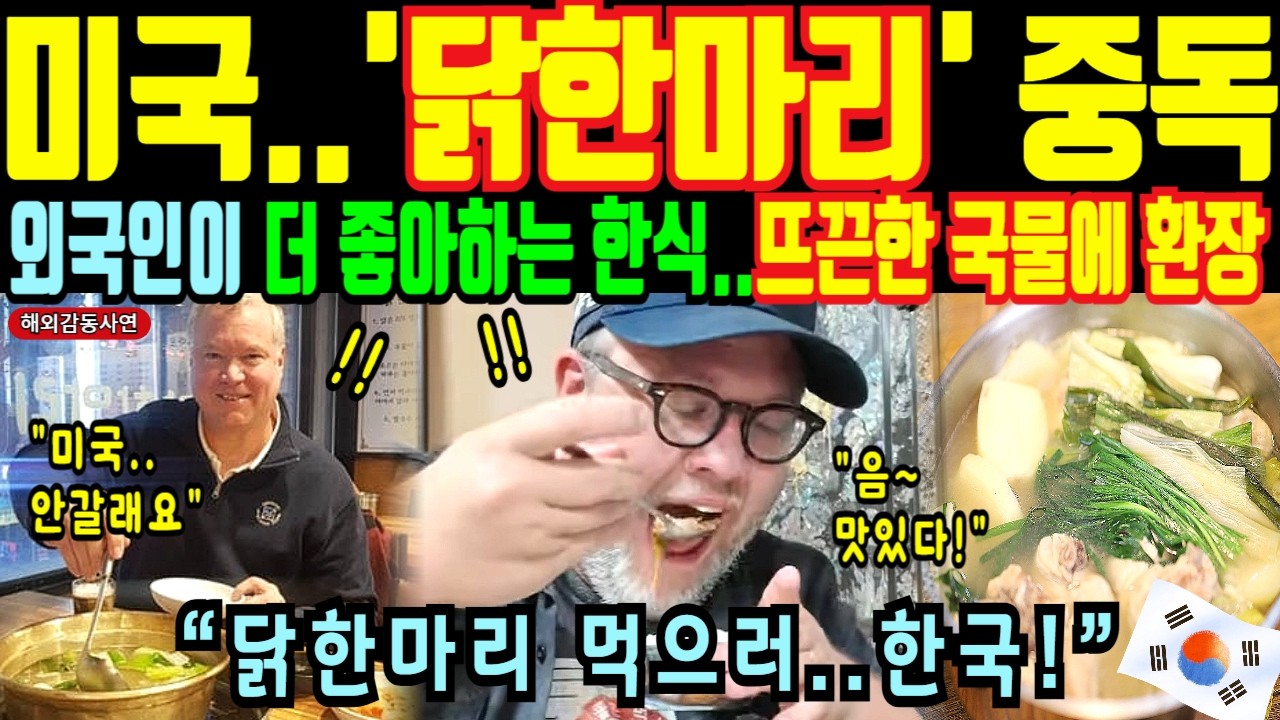 외국인이 더 좋아하는 한식 1위 미국 백악관 직원도 닭한마리 먹으러 먹으러 한국행 해외감동사연