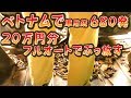 ベトナムで軍用銃680発２０万円分フルオートでぶっ放す（ワイロもあるよ）ＡＫ４７Ｍ１６Ｍ１Ｍ１９１９Type63ＲＰＤ