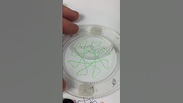 Original spirograph relaxing #spirograph #asmr #relaxing