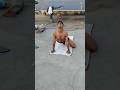 #lavkushfitness #motivational #video