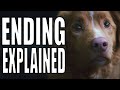 Good Boy Ending Explained Todd S Sacrifice Indy S Survival FULL Breakdown mp3