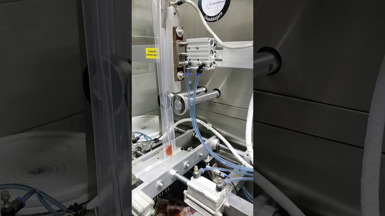 Envasador de Viscosos