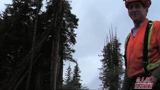 Blasting Danger trees chapter 3 .