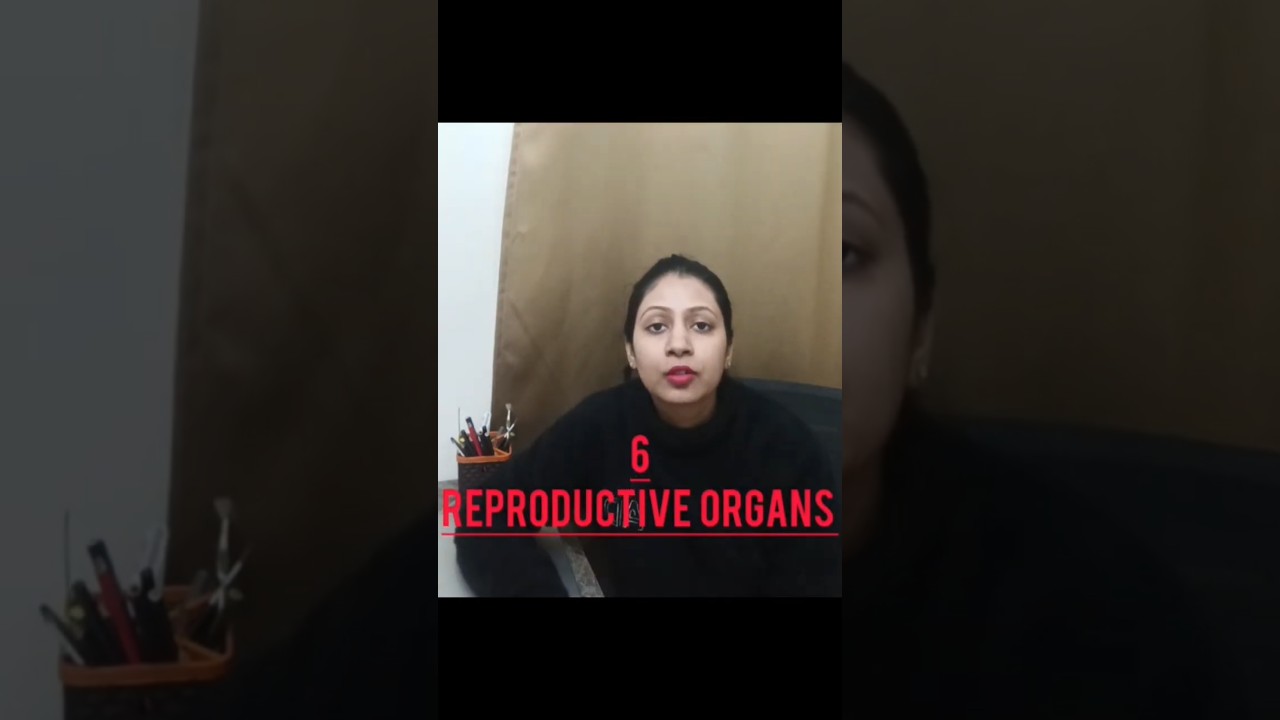 Family Planning (Part- 2)