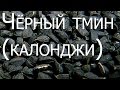 Калонджи. Чёрный тмин.