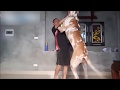 【動物】大きすぎる犬!？ペットと言うよりも･･･。怪物？【仰天】
