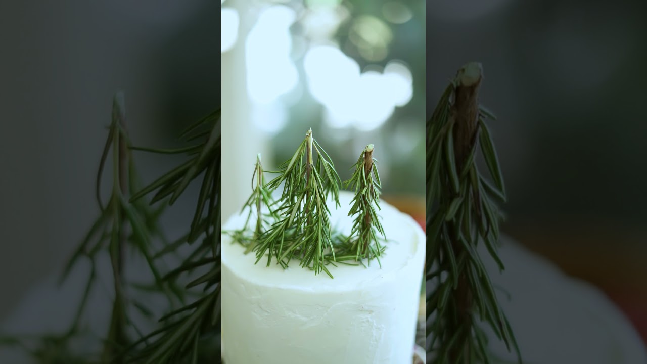 StockVideo - A Cake with a Plant Decor | non copyright video | Free Download | shorts