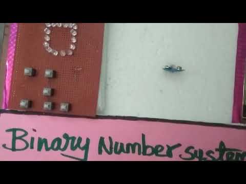 Binary Number System Project