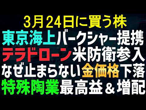 【あすの株相場】3月23日(月) 東京海上がバークシャーと提携だと！？/ 金価格なぜ下落？ / テラドローン米国防衛装備参入 / 日本特殊陶業、最高益＆増配いい感じ / 日本板硝子が非公開化！？