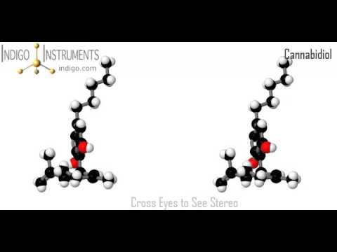 Alpha Plus Male Enhancement: Is it Really Worth the Hype?