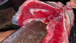 Shark Fish Cutting Aaj Hum Baht Badi Shark Laye He