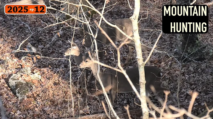 2025 Mountain Deer Camp, PART 1