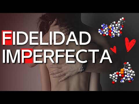 Ciencia y más allá