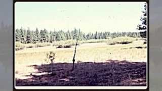 Jim Steele's IEEE Presentation Part 1: Climate Sensitivity and Drought: Landscape Changes vs CO2