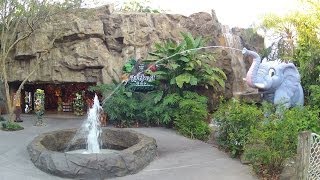 Rainforest Cafe Disneys Animal Kingdom
