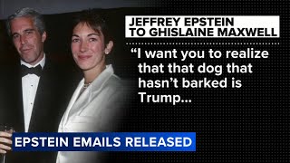 Famous House Democrats release new Epstein emails referencing Trump Net Worth