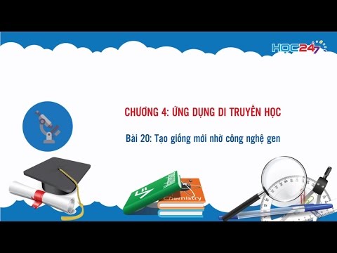 Video [Sinh học 12] Bài 20: Tạo giống mới nhờ công nghệ gen - youtube