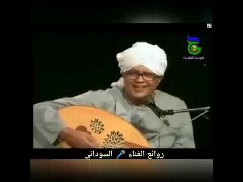 ضربتا اقول صباح الخير واشوفك كيفن اصبحتا اداء مذهل