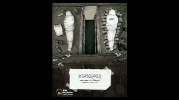 تلاوة جميلة 🌱 #حالات #حالات_واتس #تلاوة_خاشعة #تلاوات #تلاوة_خاشعة #