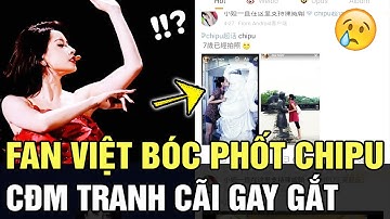 Thể hiện tốt tại TQ: CHI PU bị chính FAN VIỆT bóc phốt  khiến dân mạng tranh cãi GAY GẮT | TÁM TV