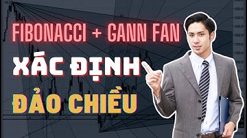 ✅ Xác Định Thời Điểm Đảo Chiều Với Fibonacci Và Gann Fan | TraderViet