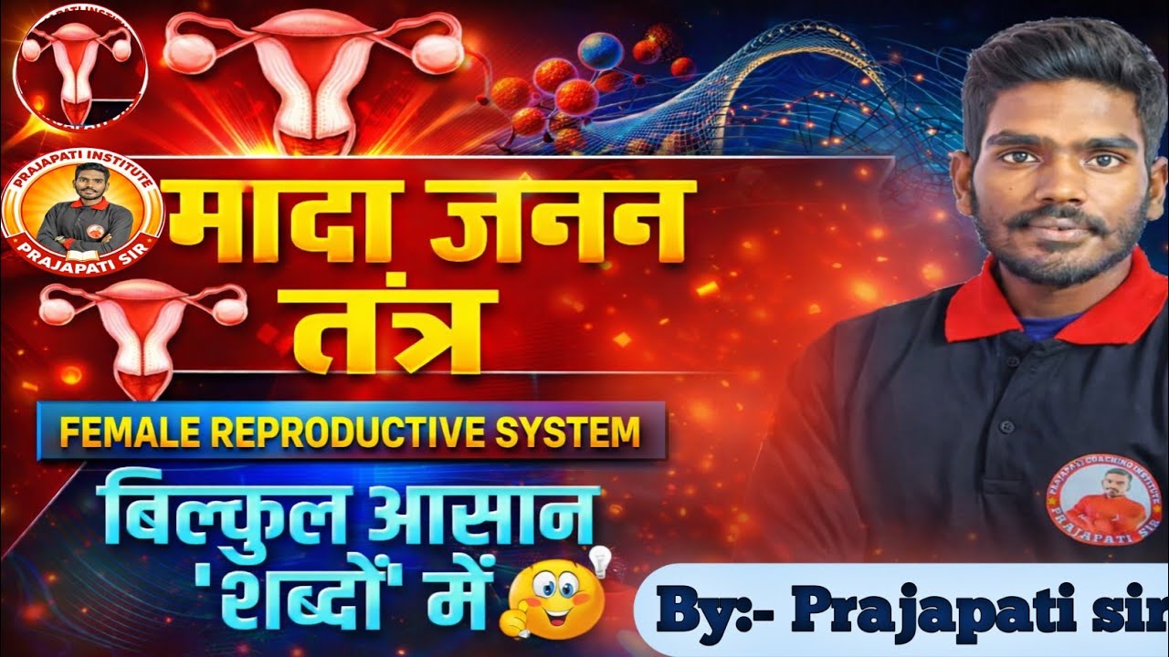 महिला प्रजनन तंत्र (Female Reproductive System)