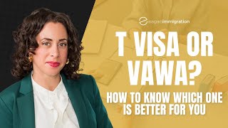 T Visa Or Vawa? How To Know Which Is Better For You
