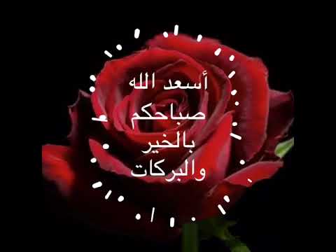 أسعد الله صباحكم بالخير والبركات حالات واتس اب عن الصباح صباح الخير للجميع بالتوفيق والنجاح الدائم