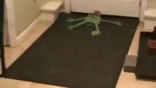 Kermit R I P