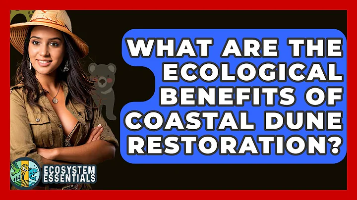 What Are The Ecological Benefits Of Coastal Dune Restoration? - Ecosystem Essentials