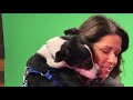 Fetch ME A Home | Josh gives hugs