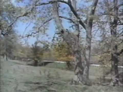 Ranker Video