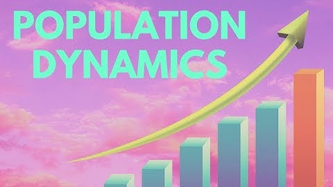 Population dynamics: population pyramids, population growth over time and projections