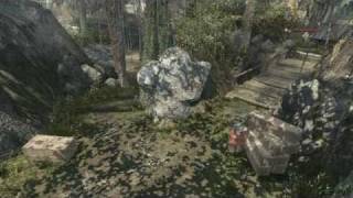 Black Ops: Exploding Barrel Of DOOM