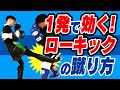 【元プロキックボクサーが教える】1発で効く！ローキックの蹴り方〜初心者でも簡単〜
