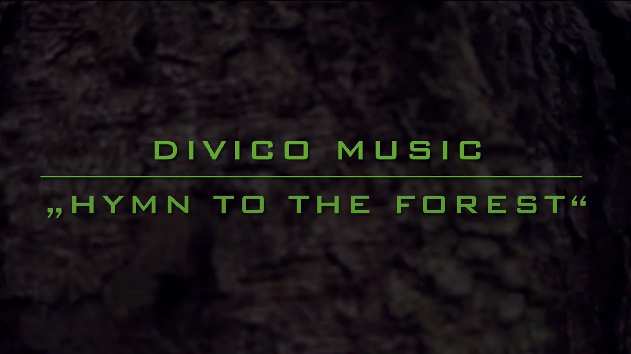 Maxx Forest Rythmic Hymn to the Forest - Rhythmic Guitar Music - DIVICO Music - YouTube