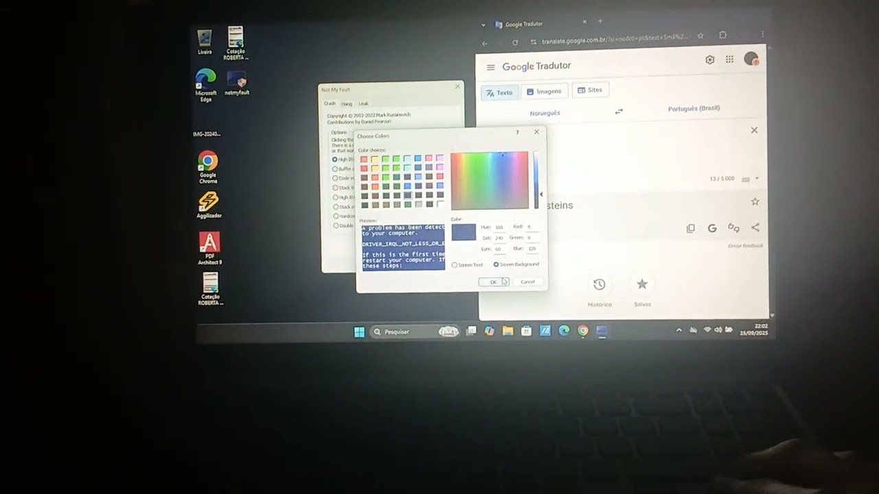 Google Translate has BSOD (On my second laptop)