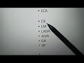 OM4 Branches of coronary artery