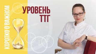 Уровень ТТГ и назначение тироксина