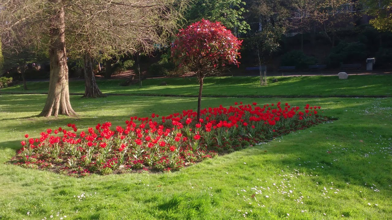 coy pond and Bournemouth gardens April 2020