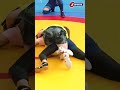 霊長類最強女子vs.野獣🔥ひっくり返せ！#shorts