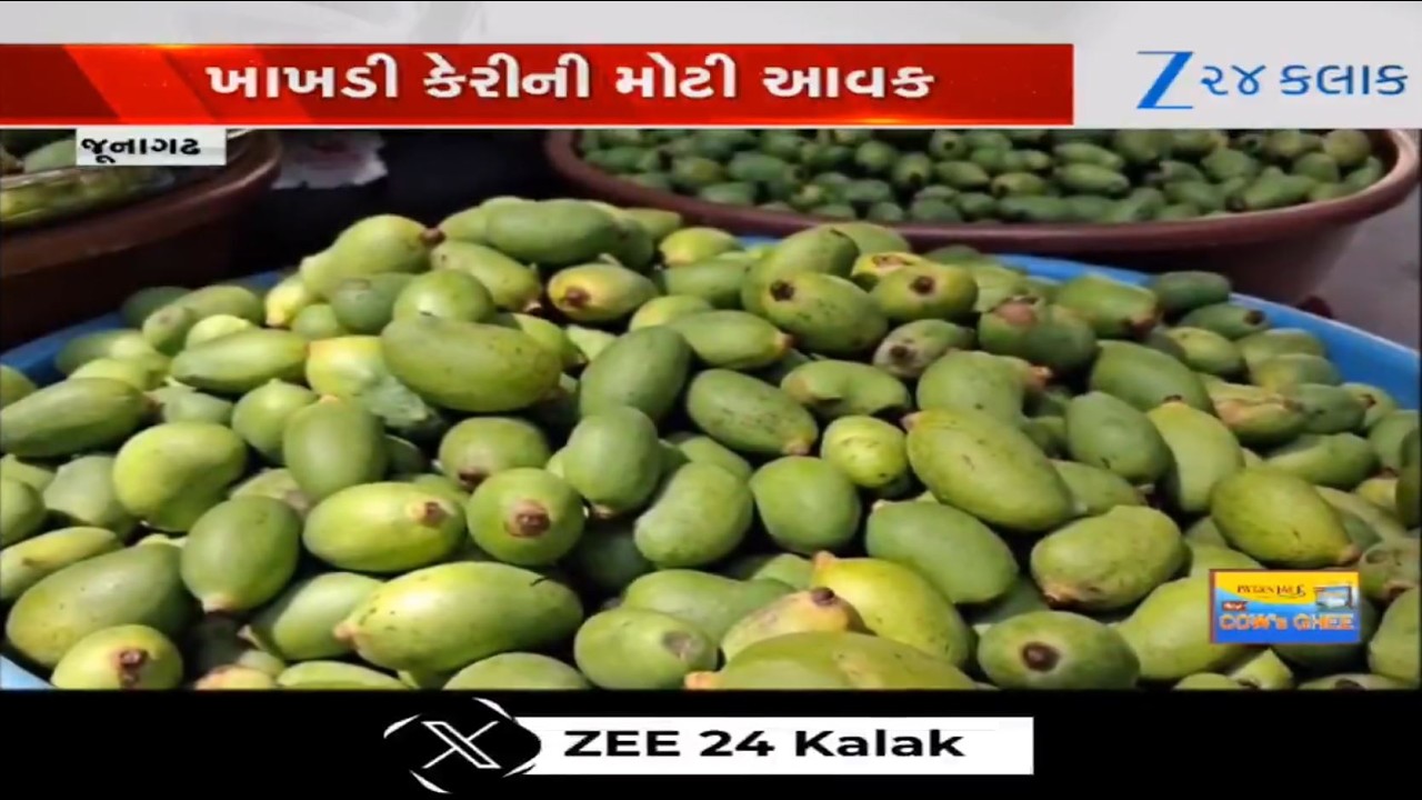 Gujarat: With onset of Summer, king of fruit- mango makes grand entry in marketing yard of Junagadh