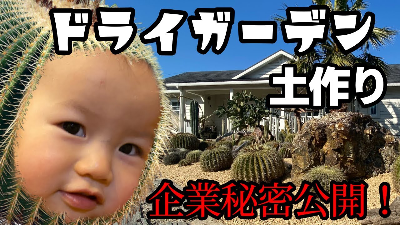 秘密公開 サボテン アガベ ユッカ ドライガーデンの土作り編 Youtube