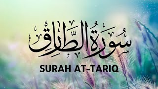Surah At-Tariq by Qari Raad Al Kurdi