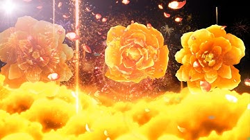 Video nền 4k Tết Hoa Mẫu đơn | Happy New Year 2022 | CountDown Fireworks | Đẹp Mở Đầu Video Xuân