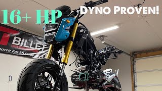 I Doubled The Horsepower On A Honda Grom. Grom Fatherz Sucker Punch Kit ! GromFatherz