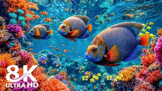 Exotic Deep Sea Creatures in 8K HDR | Dolby Vision™