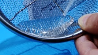 Tumnagel